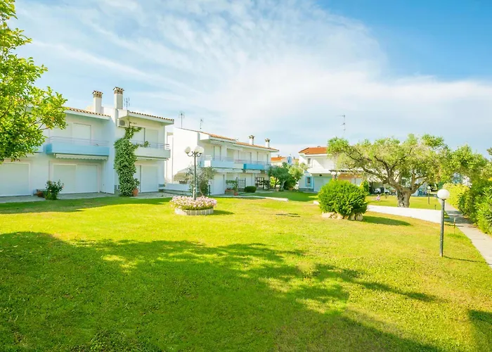 Sofia Summer 佩科霍里